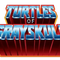 Masters Of The Universe Turtles of Grayskull