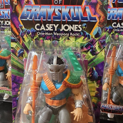 IN STOCK Masters of the Universe TURTLES OF GRAYSKULL Casey Jones Mint Condition
