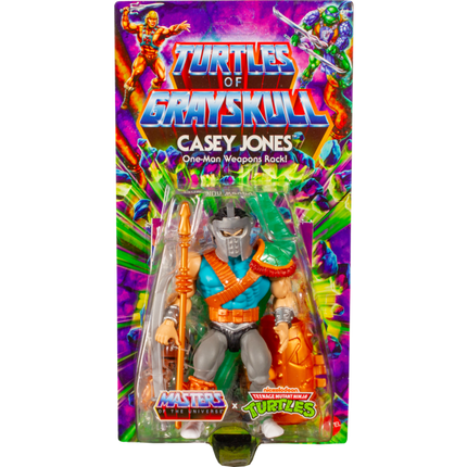 Masters of the Universe Turtles of Grayskull Casey Jones