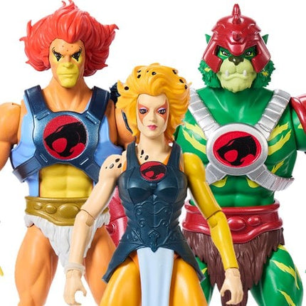 Masters of the Universe x Thundercats Wave 1 Action Figure