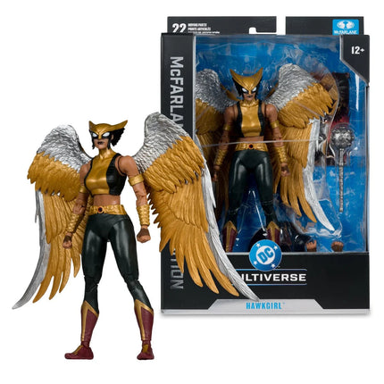 DC McFarlane Collector Edition Wave 15 Hawkgirl Kendra Saunders #63 7-Inch Scale Action Figure