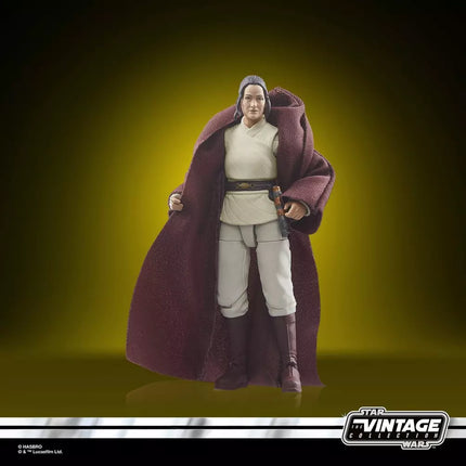 Star Wars The Vintage Collection Jedi Master Indara 3 3/4-Inch Action Figure