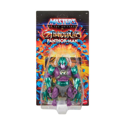 Masters of Universe Origins and ThunderCats Wave 3 Panthor Man Action Figure